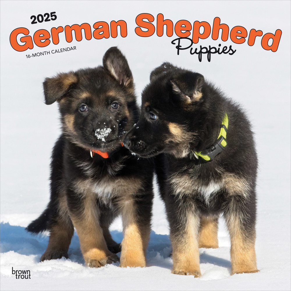 2025 BrownTrout German Shepherd Puppies Monthly Plastic-Free