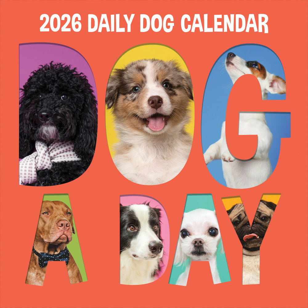 2026 TF Publishing Animals Monthly Wall Calendar, 12"