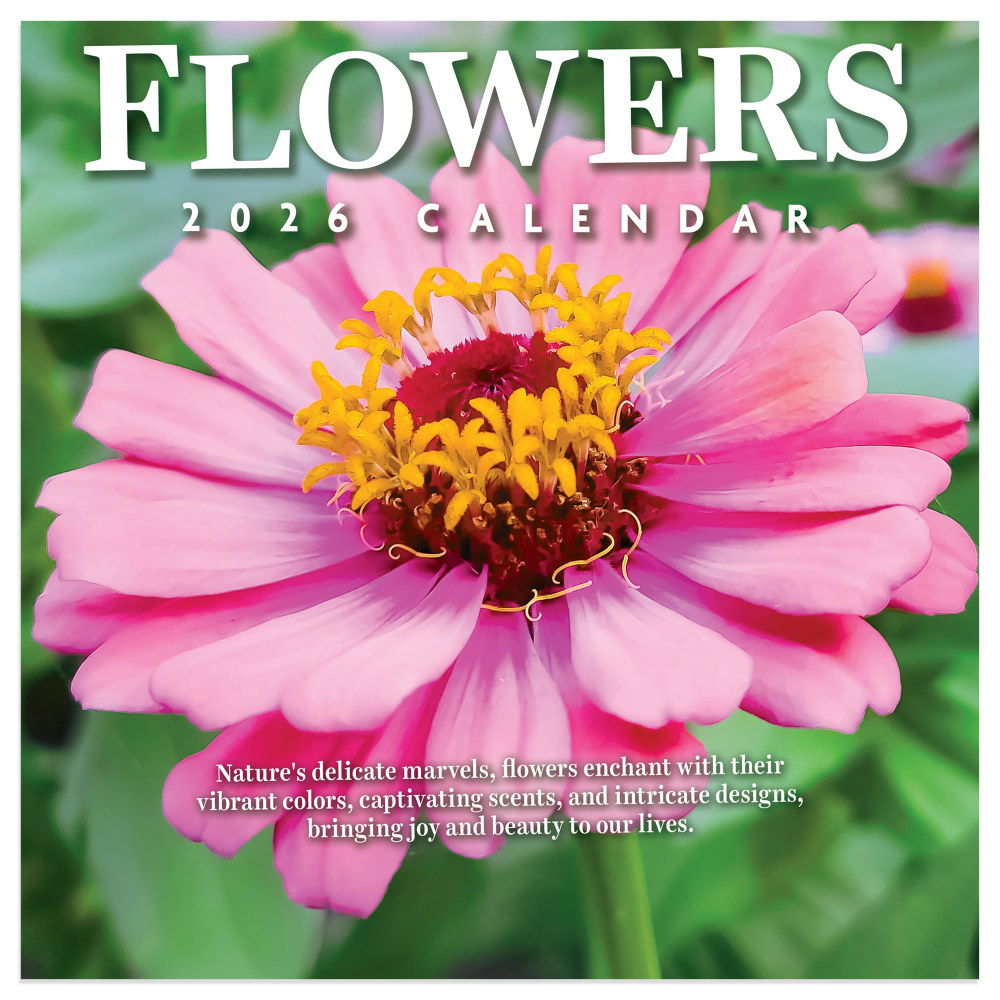 2026 TF Publishing Scenic Monthly Mini Wall Calendar,