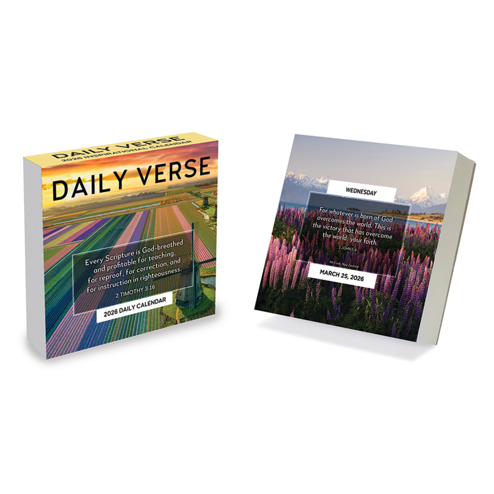 2026 TF Publishing Daily Desktop Box Calendar, 5-1/4"