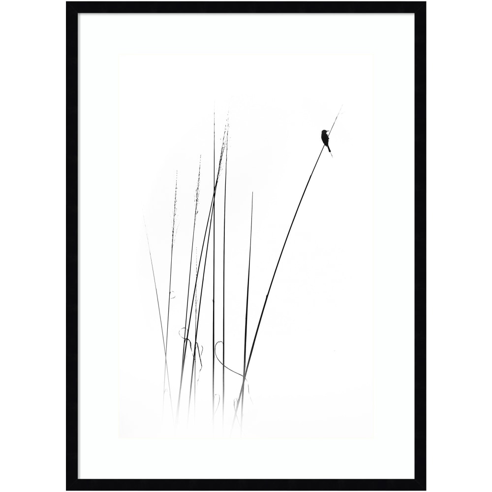 Amanti Art A Sabbatical Bird by Swapnil Wood