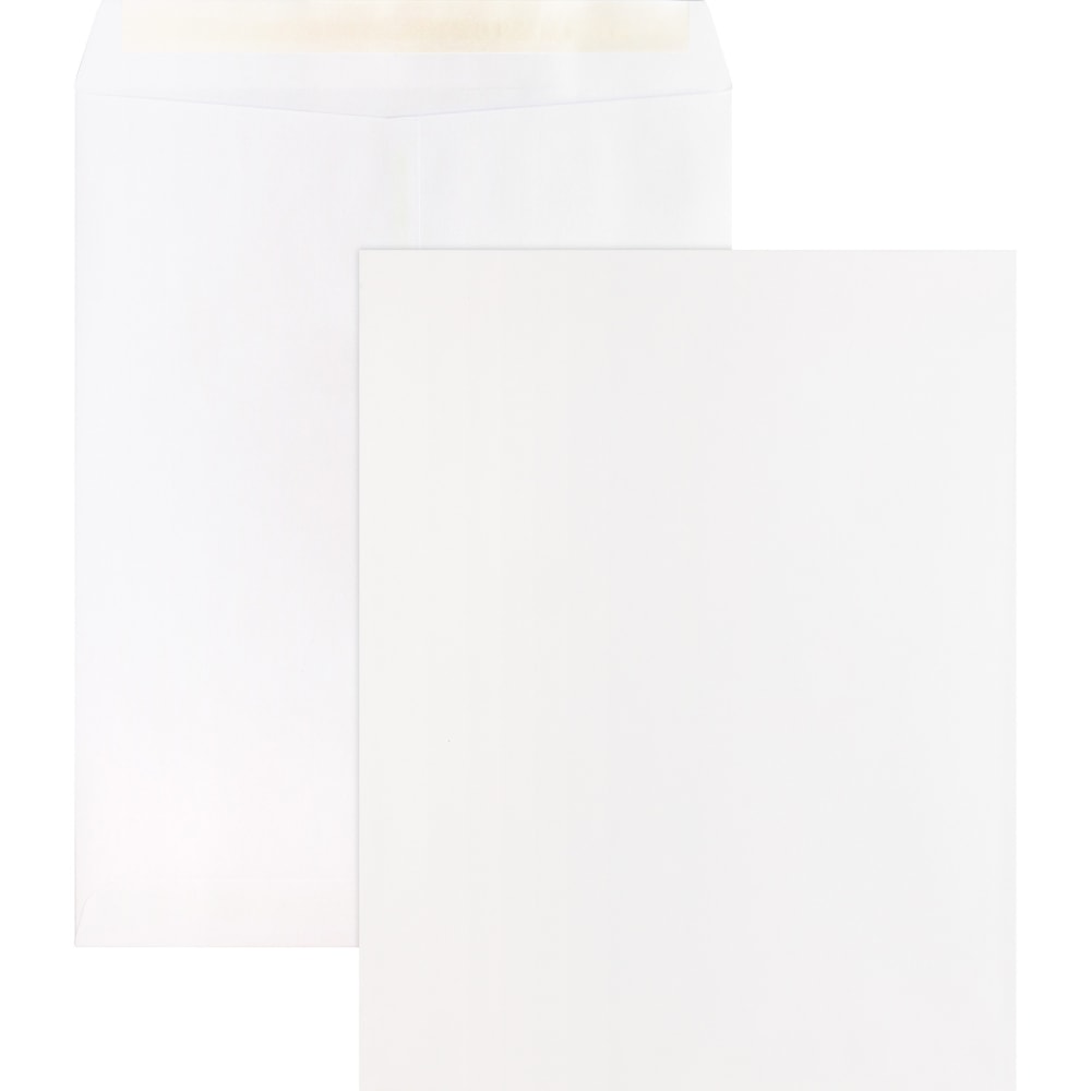 Business Source Self Sealing Catalog Envelopes - Catalog