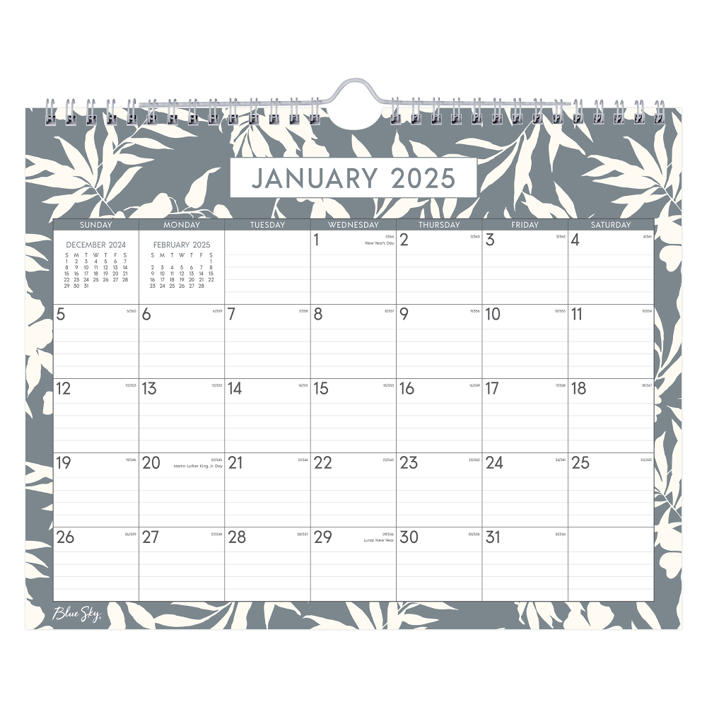 2025 Blue Sky Monthly Wall Calendar, 11" x