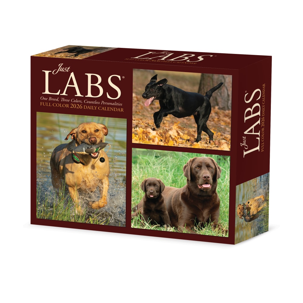 2026 Willow Creek Press Page-A-Day Daily Desk Calendar,