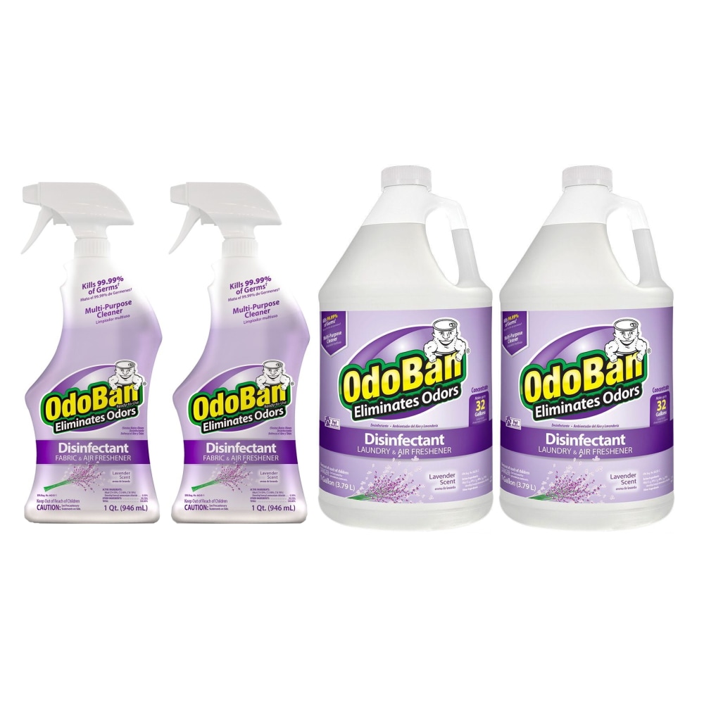 OdoBan® Odor Eliminator Disinfectant, Lavender Scent, Case Of