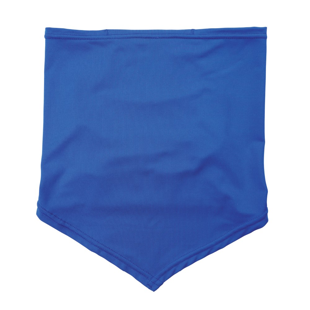 Ergodyne Chill-Its 6483 Cooling Neck Gaiter Bandana Pocket,