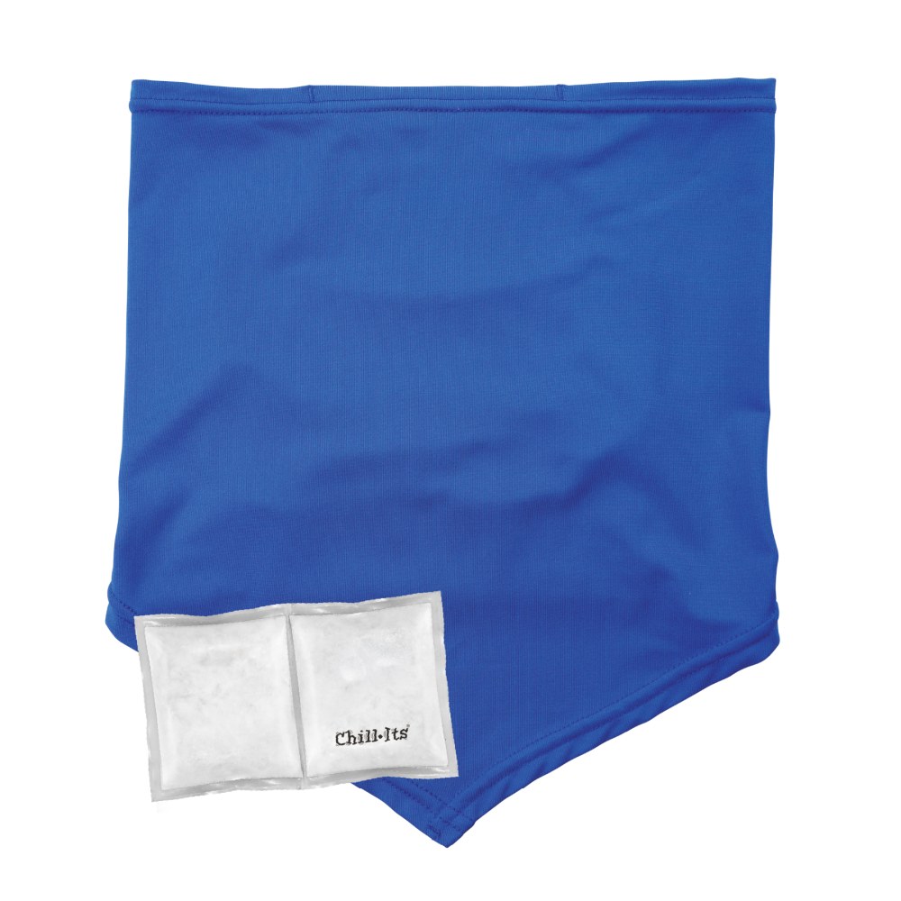 Ergodyne Chill-Its 6482 Cooling Neck Gaiter Bandana With