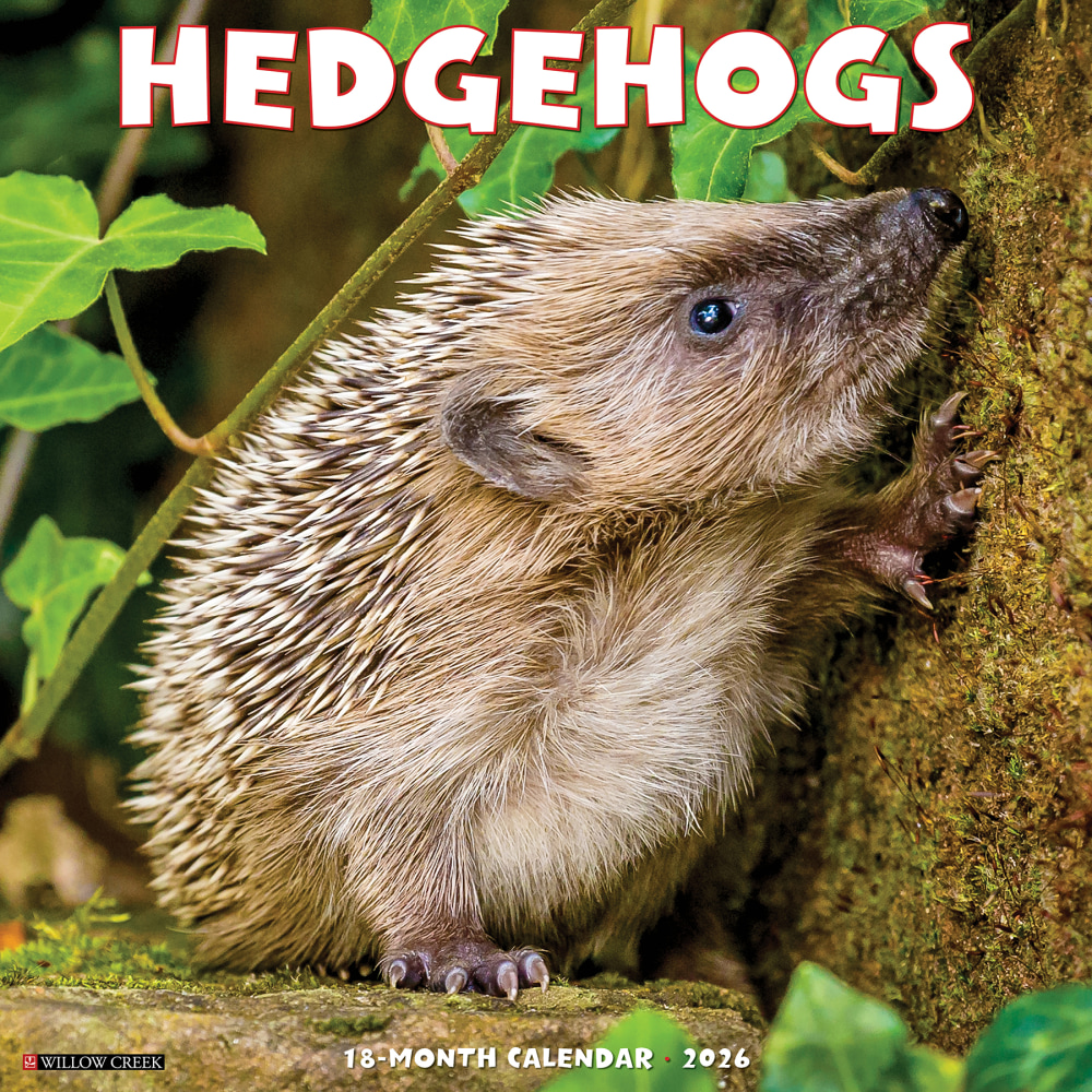 2026 Willow Creek Press Animals Monthly Wall Calendar,