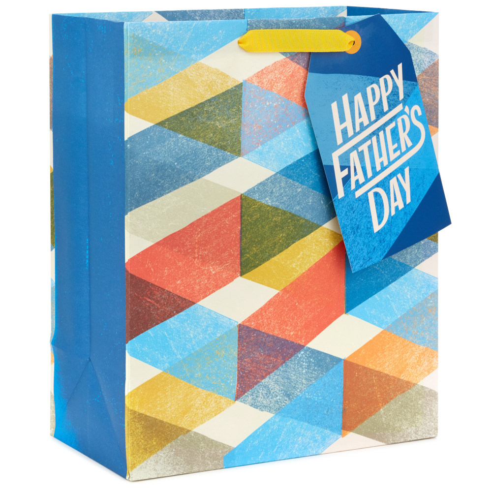 Hallmark 13" Large Father&#x27;s Day Gift Bag (Modern