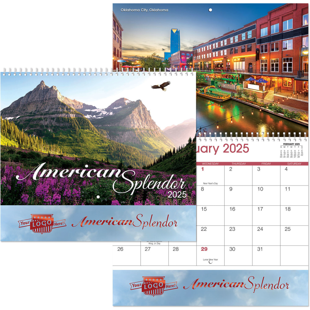 American Splendor 13-Month Wall Calendar, 9 1/2" x