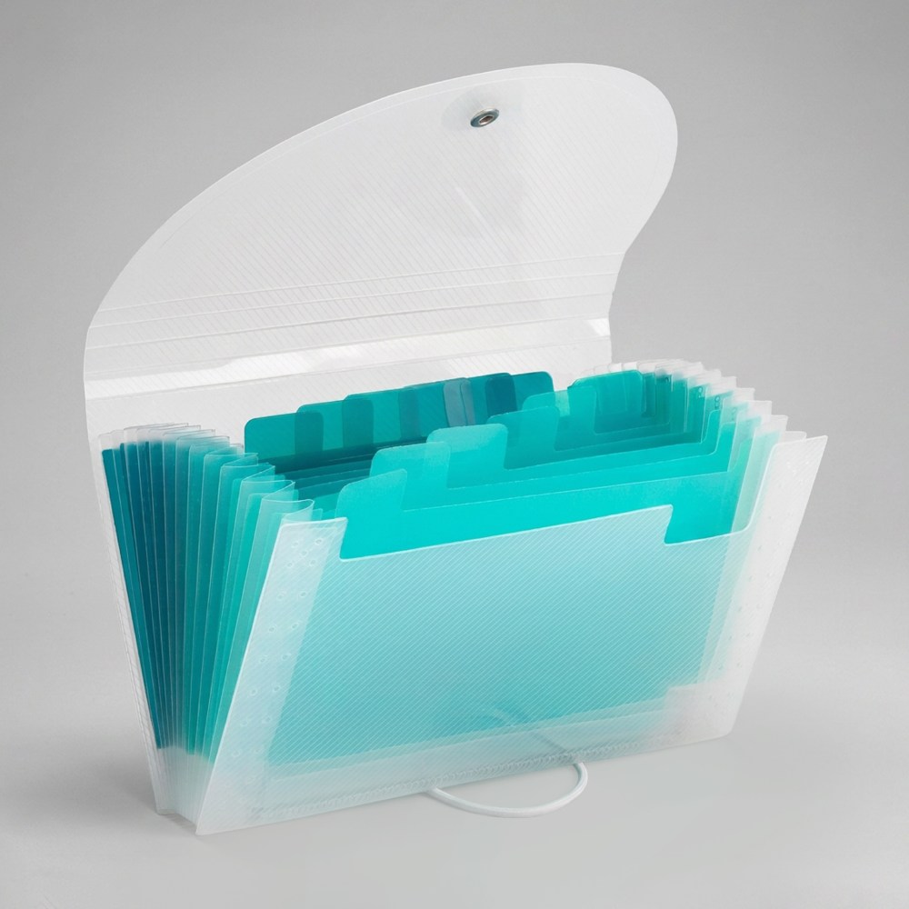 Office Depot Brand Polypropylene File 13 Pocket Expansion 12 8 12