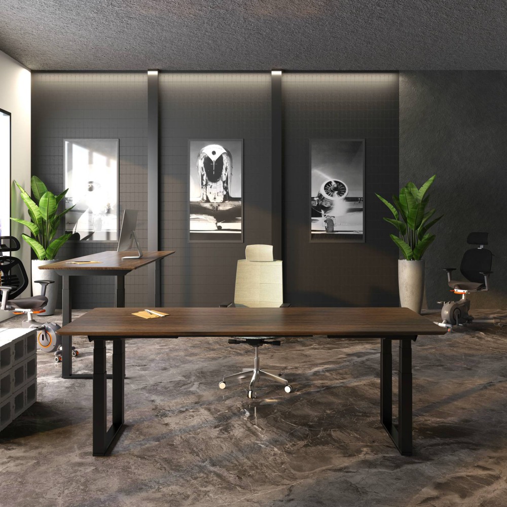 FlexiSpot E2 ブラック FlexiSpot E2 48''W Electric Adjustable Standing Desk Chipboard