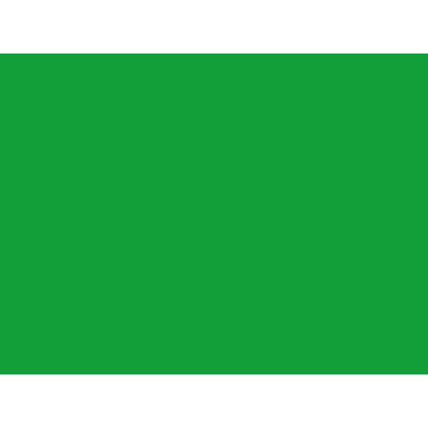 Tru-Ray Construction Paper, 50% Recycled, 18 x 24, Festive Green, Pack Of 50