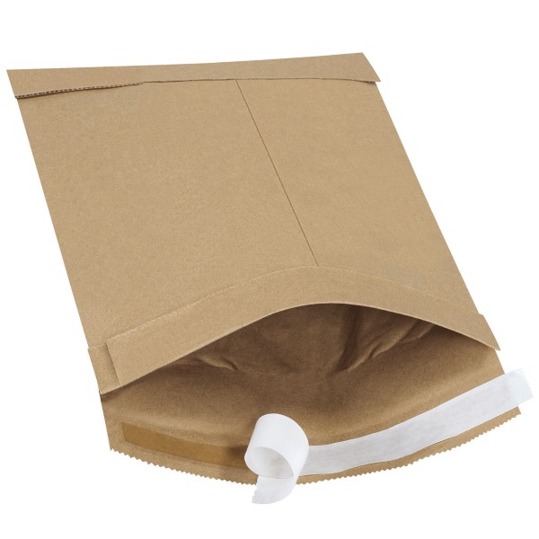 South Coast Paper Kraft Self-Seal Padded Mailers, #0, 6" x 10", Pack Of 25