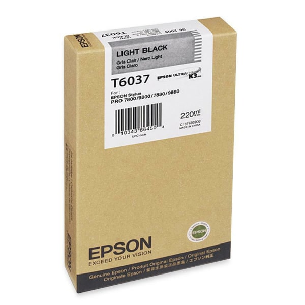 Epson Original Ink Cartridge Light Black T603700