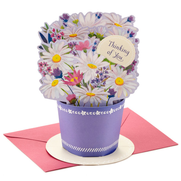 Hallmark Paper Wonder Card, 7-1/4" x 5", Potted Daisies