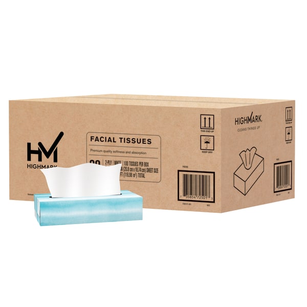 Highmark 2Ply Facial Tissue Flat Box White 100 Tissues Per Box Case Of 30 Boxes