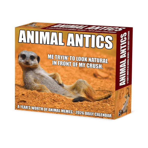 2026 Willow Creek Press Page-A-Day Daily Desk Calendar, 6-1/4" x 5-1/2", Animal Antics, January To December, 55137