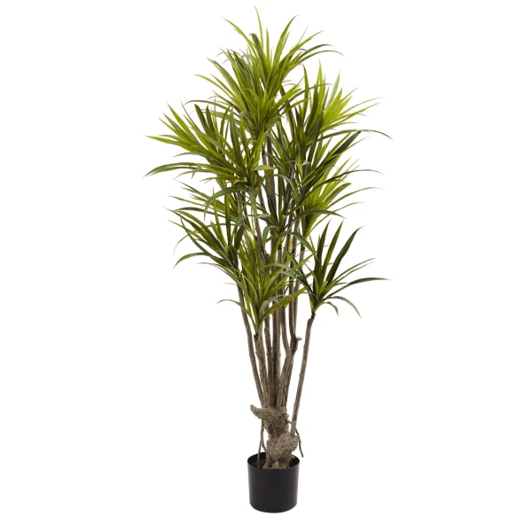 Photos - Garden & Outdoor Decoration Nearly Natural Dracaena 60"H Silk Tree With Pot, 60"H x 30"W x 28"D, Green