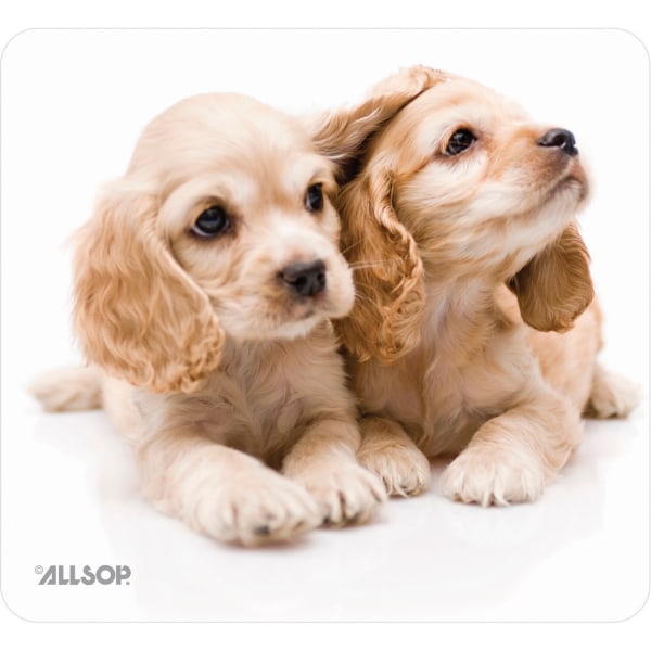 UPC 035286301831 product image for Allsop® Naturesmart Mouse Pad, 8.5