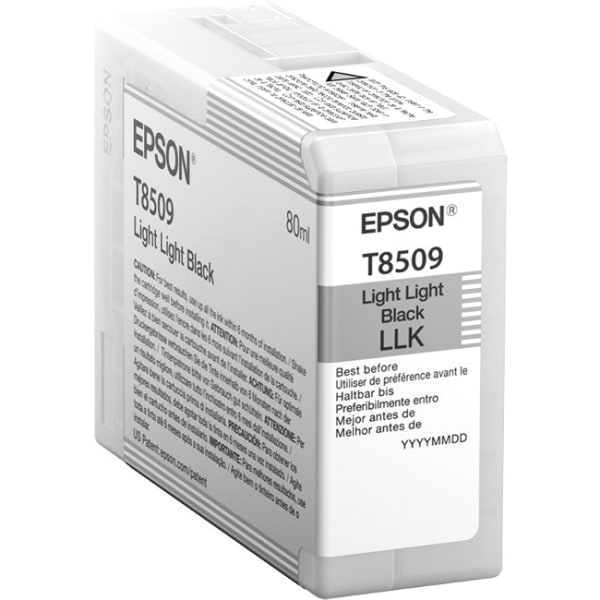 Epson UltraChrome HD T850 Original Ink Cartridge, Light Black, T850900
