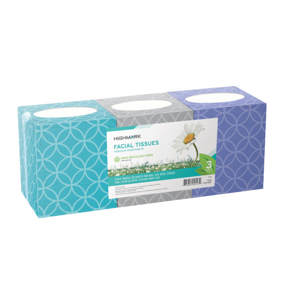 Highmark ECO 2Ply Facial Tissue 100 Recycled White 85 Tissues Per Box Pack Of 3 Boxes