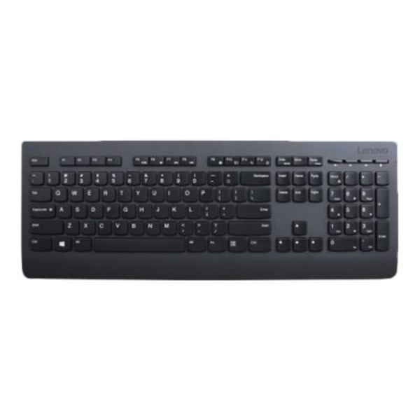 Professional Wireless Keyboard - Wireless Connectivity - RF - USB Interface Multimedia Hot Key(s) - English (US)