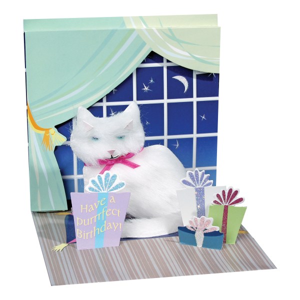 Up With Paper Everyday Pop-Up Greeting Card, 5-1/4" x 5-1/4", White Persian Kitty
