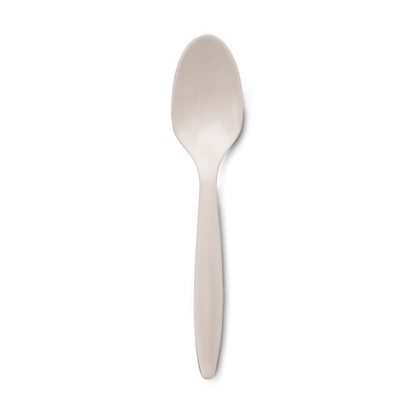 Dixie Plastic Cutlery  Mediumweight Teaspoons  White  1 000/Carton -DXEPTM21