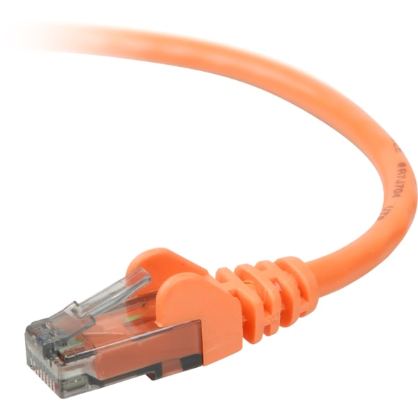 UPC 722868611623 product image for Belkin 900 Series Cat. 6 UTP Patch Cable - RJ-45 Male - RJ-45 Male - 3ft -  | upcitemdb.com