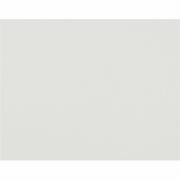 Pacon 22  x 28  Poster Board White