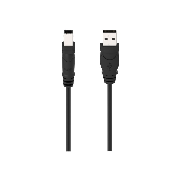 Belkin USB Cable - Type A Male USB - Type B Male USB - 10ft -  F3U133B10