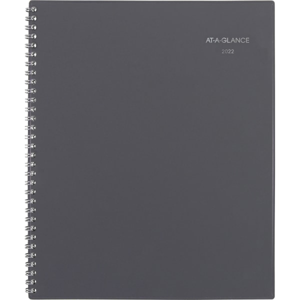 AT-A-GLANCE&reg; DayMinder Weekly/Monthly Planner 7974728