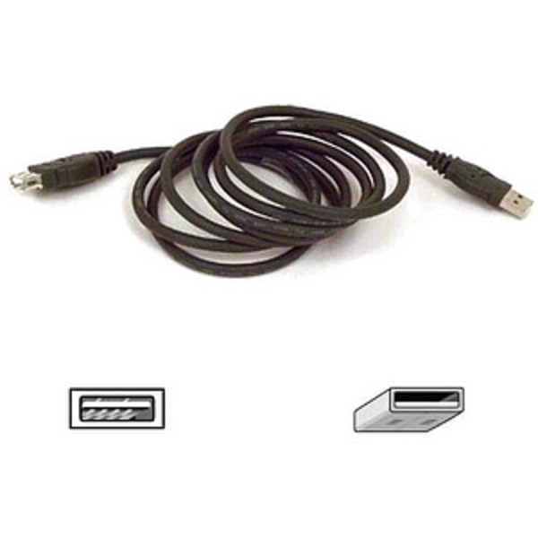UPC 722868410967 product image for Belkin USB Extender Cable - Type A Male - Type A Female USB - 3ft | upcitemdb.com