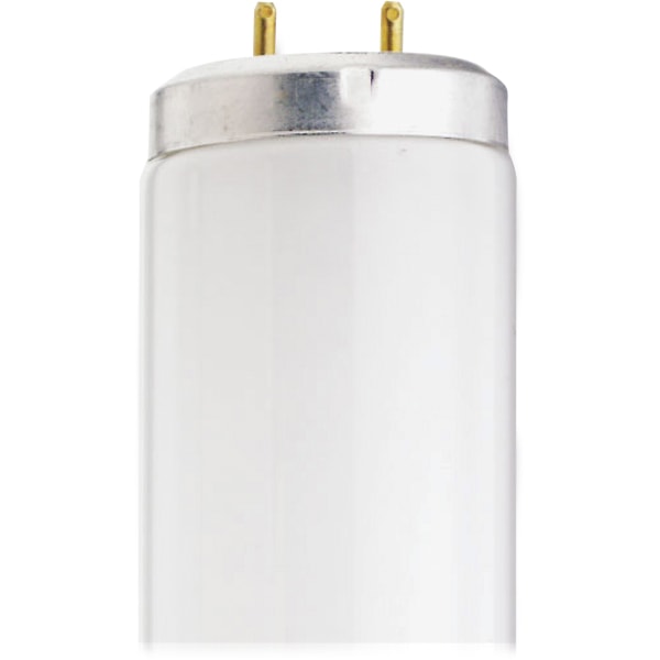 Photos - Light Bulb WATT Satco T12 Cool White Fluorescent Tube , 40 Watts, Carton Of 30 Bulbs S6637 