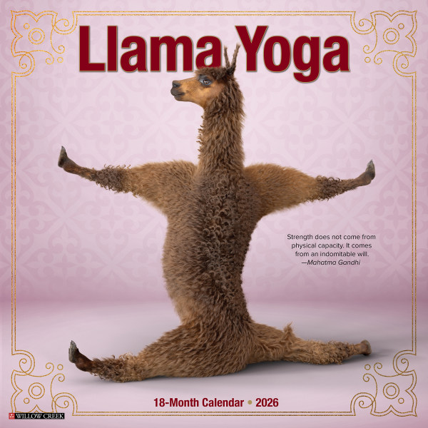 ISBN 9781549255489