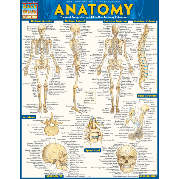 QuickStudy Guide, Anatomy 1