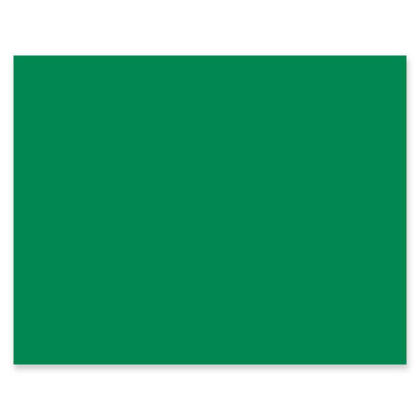 Pacon® Railroad Board  4-Ply  22  x 28   Holiday Green  Pack of 25