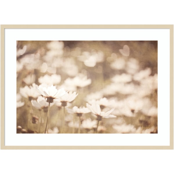 Photos - Other Decoration Amanti Art Daisies I Neutral by Elizabeth Urquhart Wood Framed Wall Art Print, 30"H x 41"W, Natural