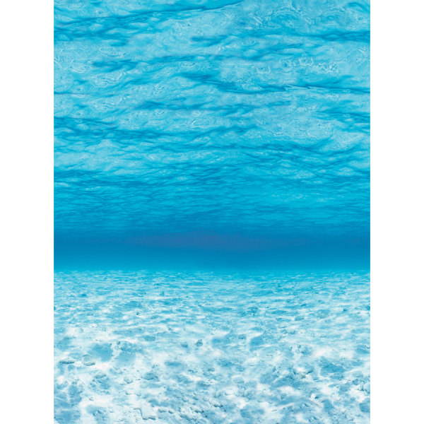 Pacon Fadeless Designs Bulletin Board Paper, Under the Sea, 50 ft x 48