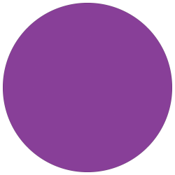 Tape Logic® Inventory Circle Labels, DL611M, 1", Purple, Pack Of 500