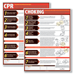 ComplyRight™ CPR And Choking Poster Bundle, English, 18" x 24", English