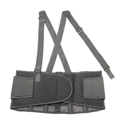 Ergodyne ProFlex 100 Economy Back Support Brace - 30" - 34" Waist Size - Black - 280D Spandex, Rubber, Polypropylene - 1 Each