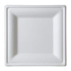 Eco-Products 10" Sugarcane Dinnerware Plates - Serving - Disposable - Microwave Safe - White - Sugarcane Body - 250 / Carton