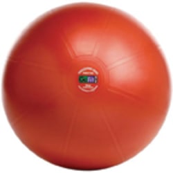 GoFit Professional Stability Ball With Core Performance Training DVD, 55 CM, Dark Red