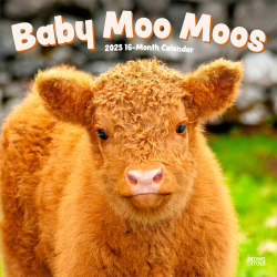 2025 BrownTrout Baby Moo Moos Monthly Plastic-Free Square Wall Calendar, 12" x 12", Domesticated Animals, January to December 2025, 9781975476588