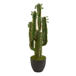 Nearly Natural 30" Artificial Full Branches Cactus Plant With Pot, Green/Black