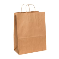 Partners Brand Paper Shopping Bags, 17"H x 13"W x 7"D, Kraft, Case Of 250