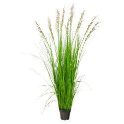 Nearly Natural Plume Grass 66"H Artificial Plant With Planter, 66"H x 24"W x 24"D, Green/Black