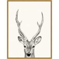 Amanti Art Animal Mug IV Deer by Victoria Borges Framed Canvas Wall Art Print, 24"H x 18"W, Gold